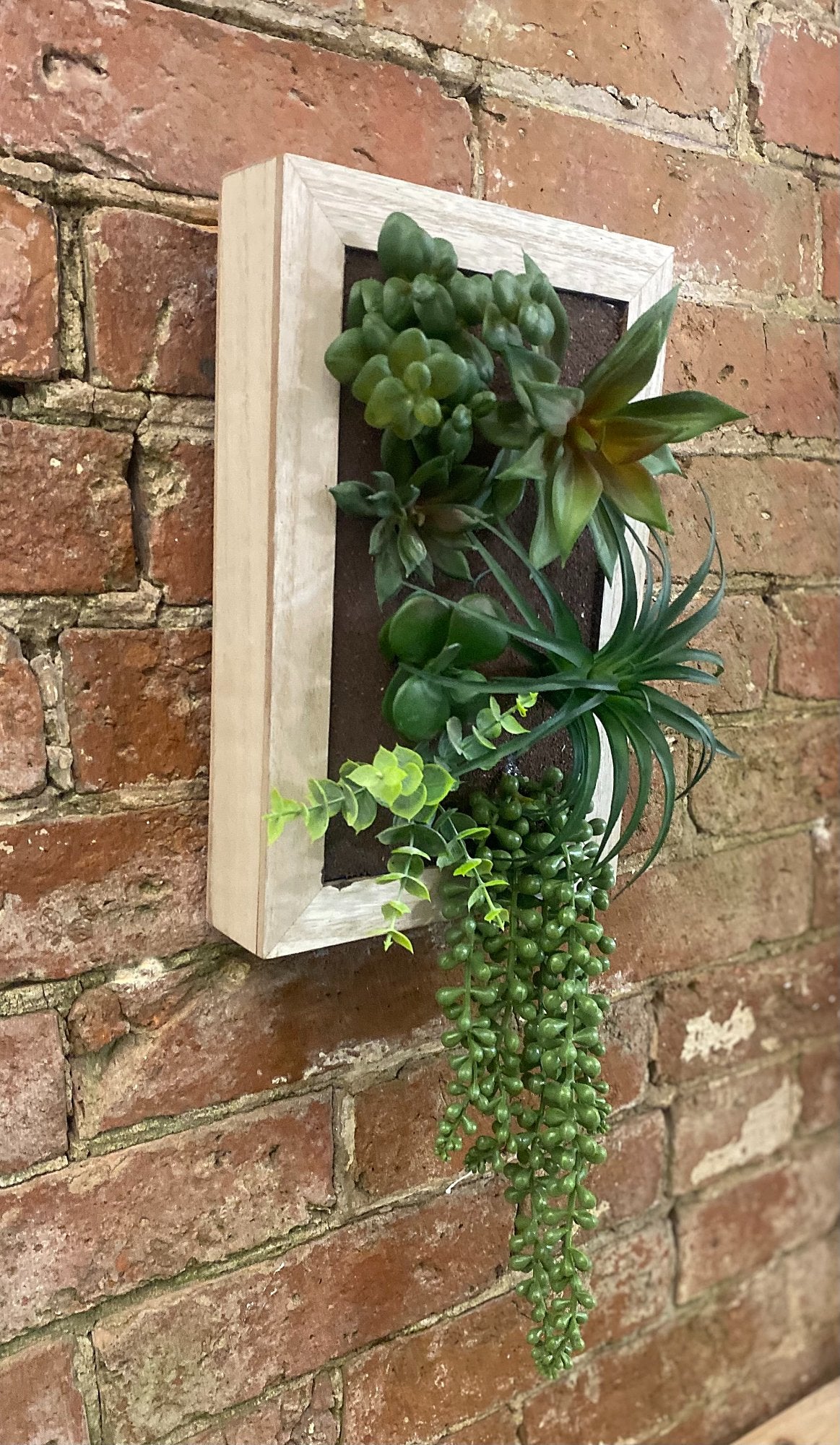Artificial Succulents In Wooden Frame