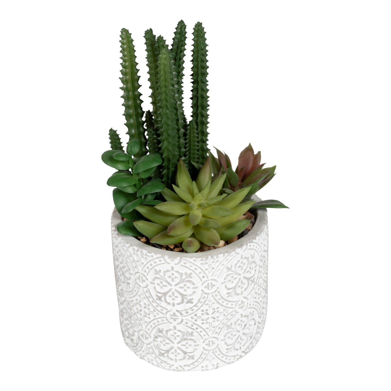 Succulents In Aztec Embossed Pot