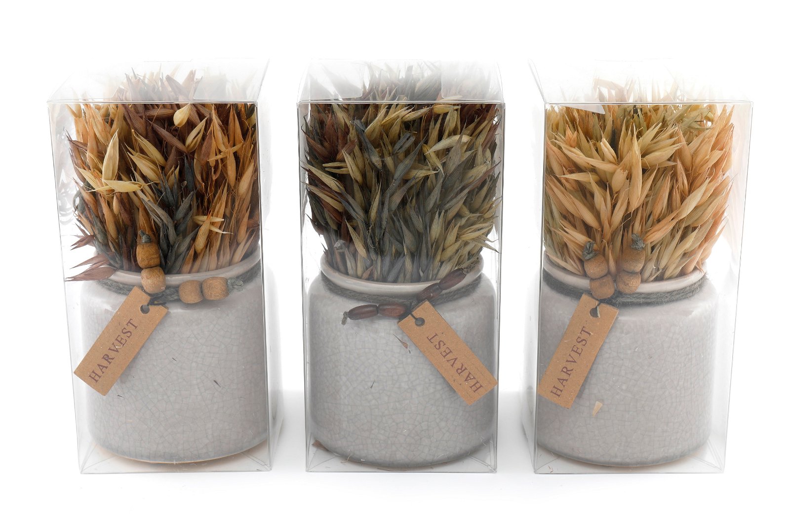 Set of 3 Dried Grasses In Ceramic Pots